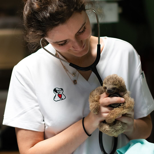 allesfuerdietiergesundheit-1