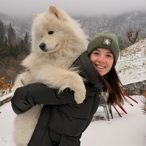 calousamoyed-1