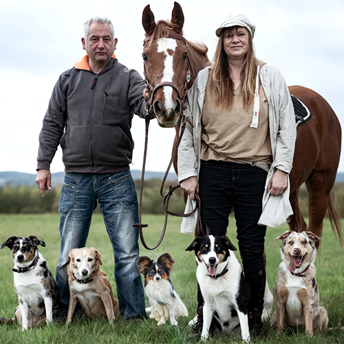 dieappenshepherds-1