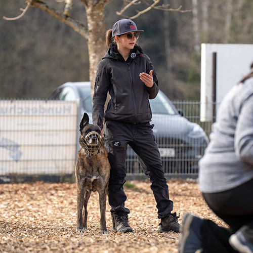dracanishundetraining-1