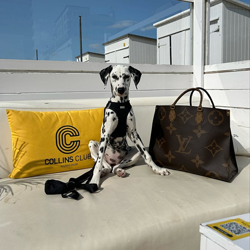 lenidalmistyle-1