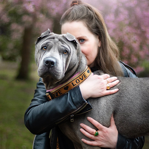 liabluesharpei-1