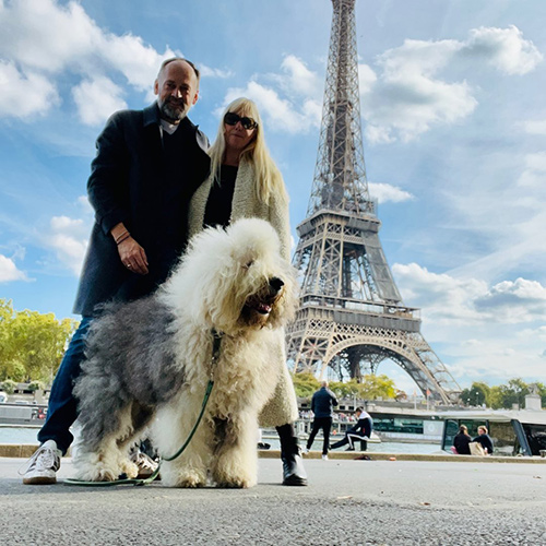 oscarthesheepdog-1