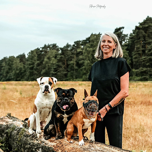 sennehunde-1
