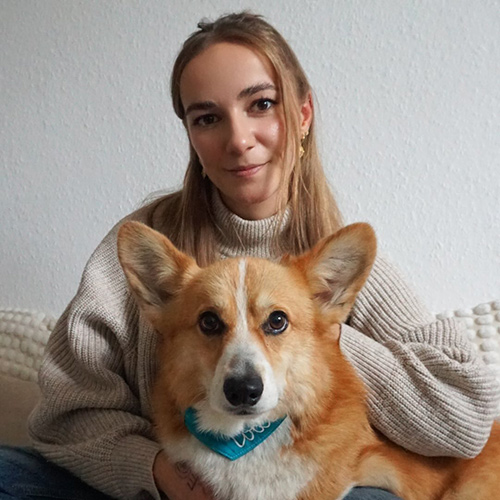 toastiethecorgi-1
